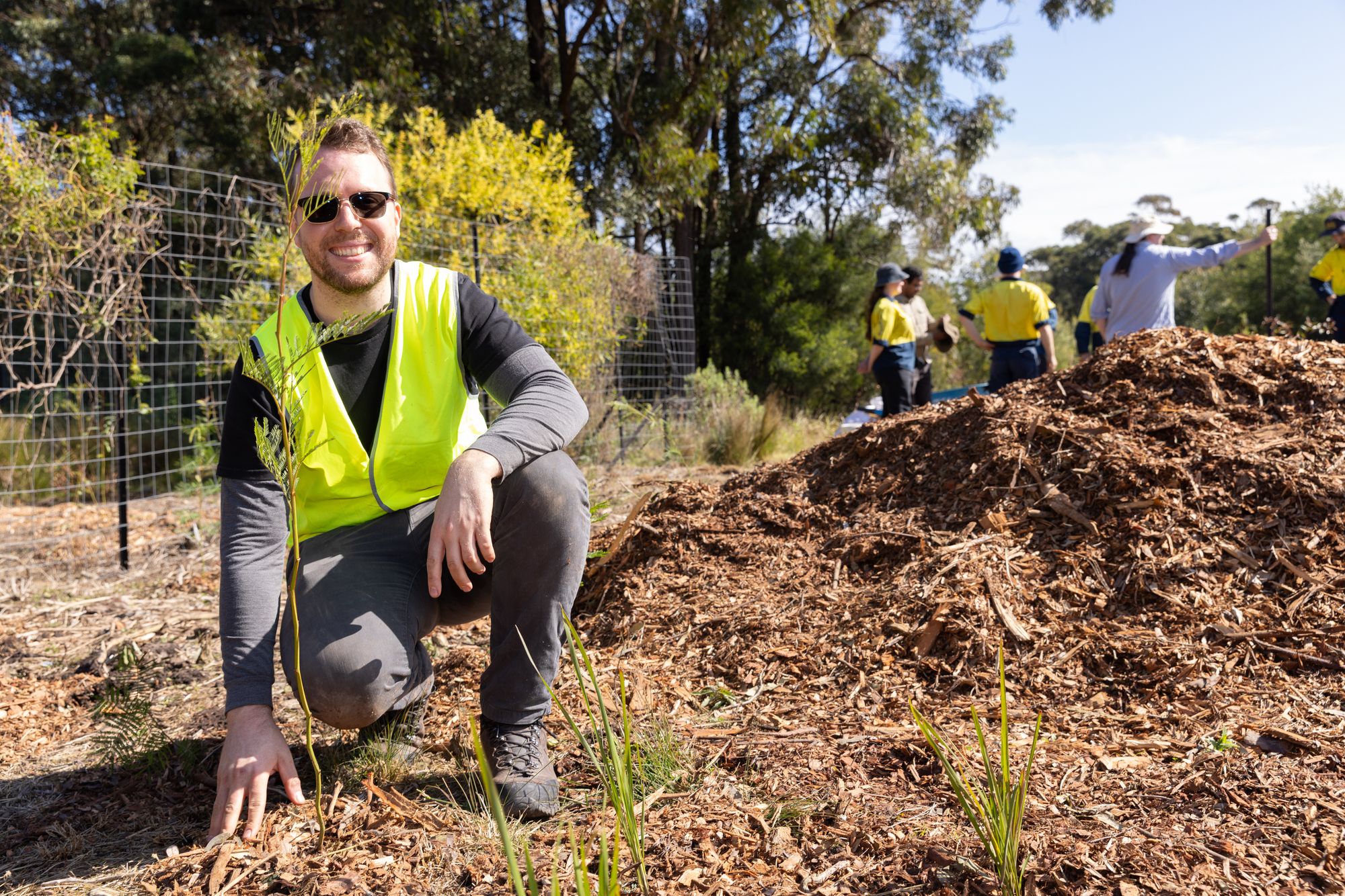 250807 NSWPlantingLucusHeights Day3 HighRes(257) (1)